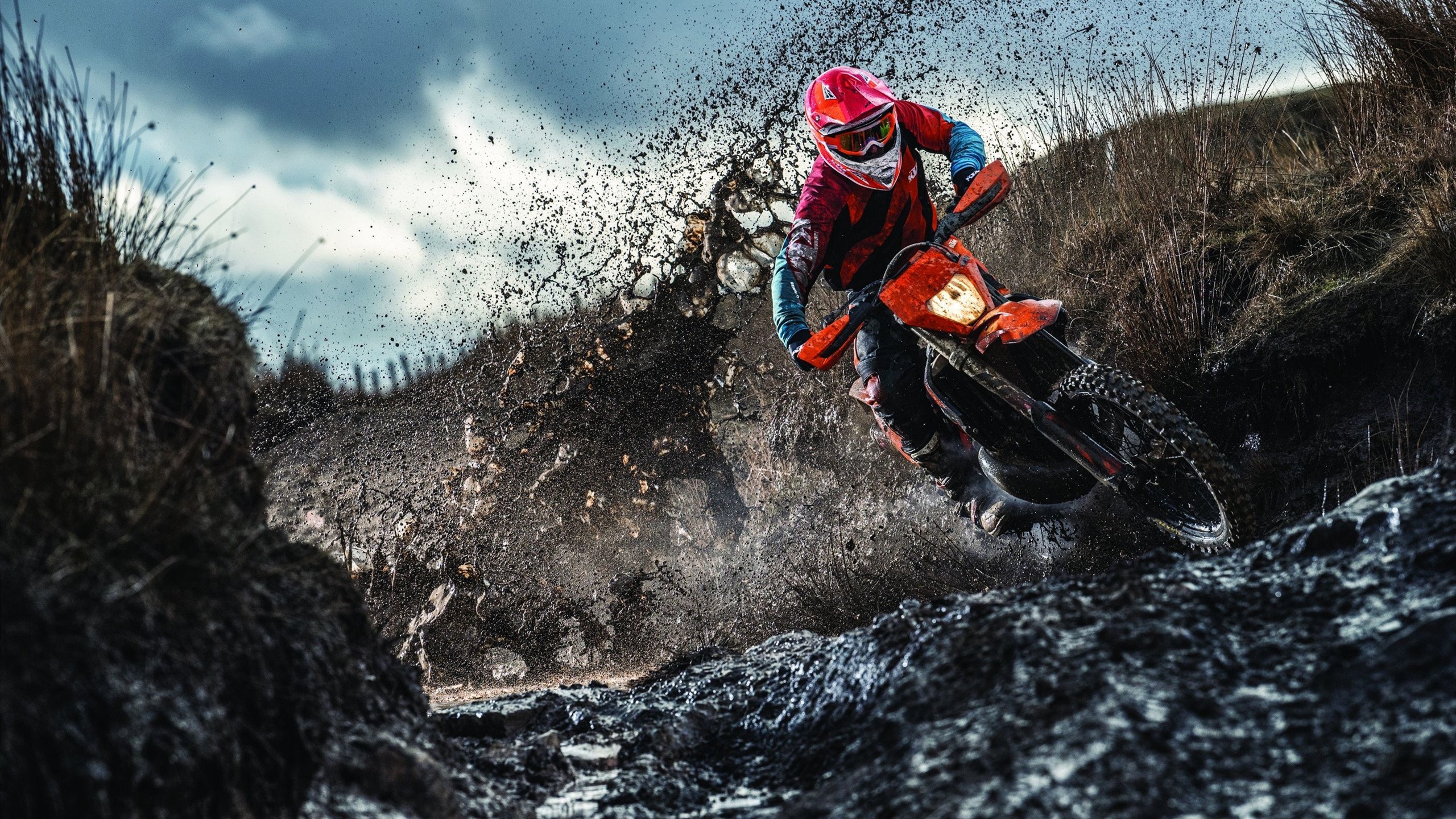 查尔莫斯短自再夺金牌,查尔莫斯什么水平