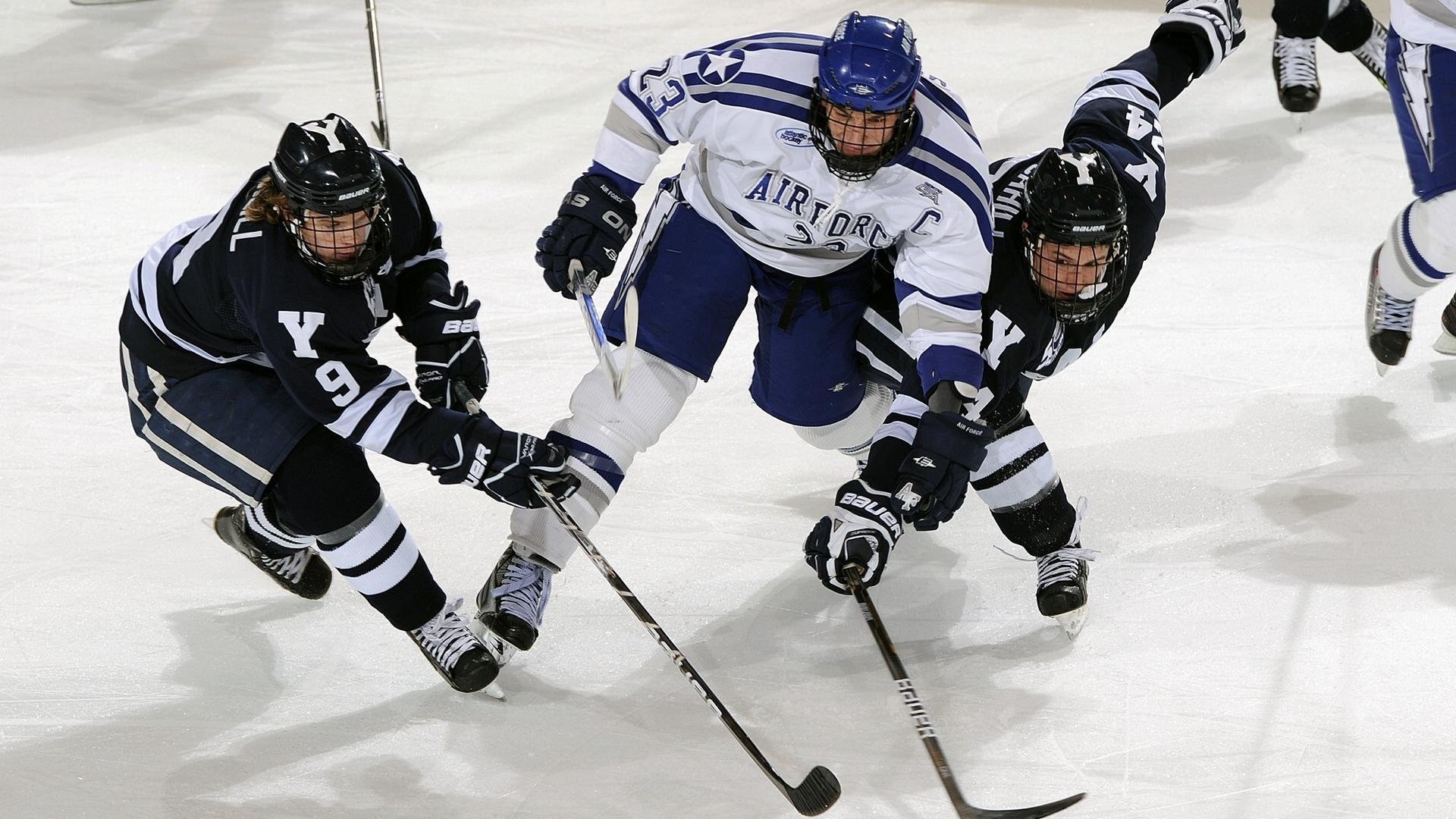 公牛主教练表示球队正朝着正确方向前进,公牛队出场说的什么