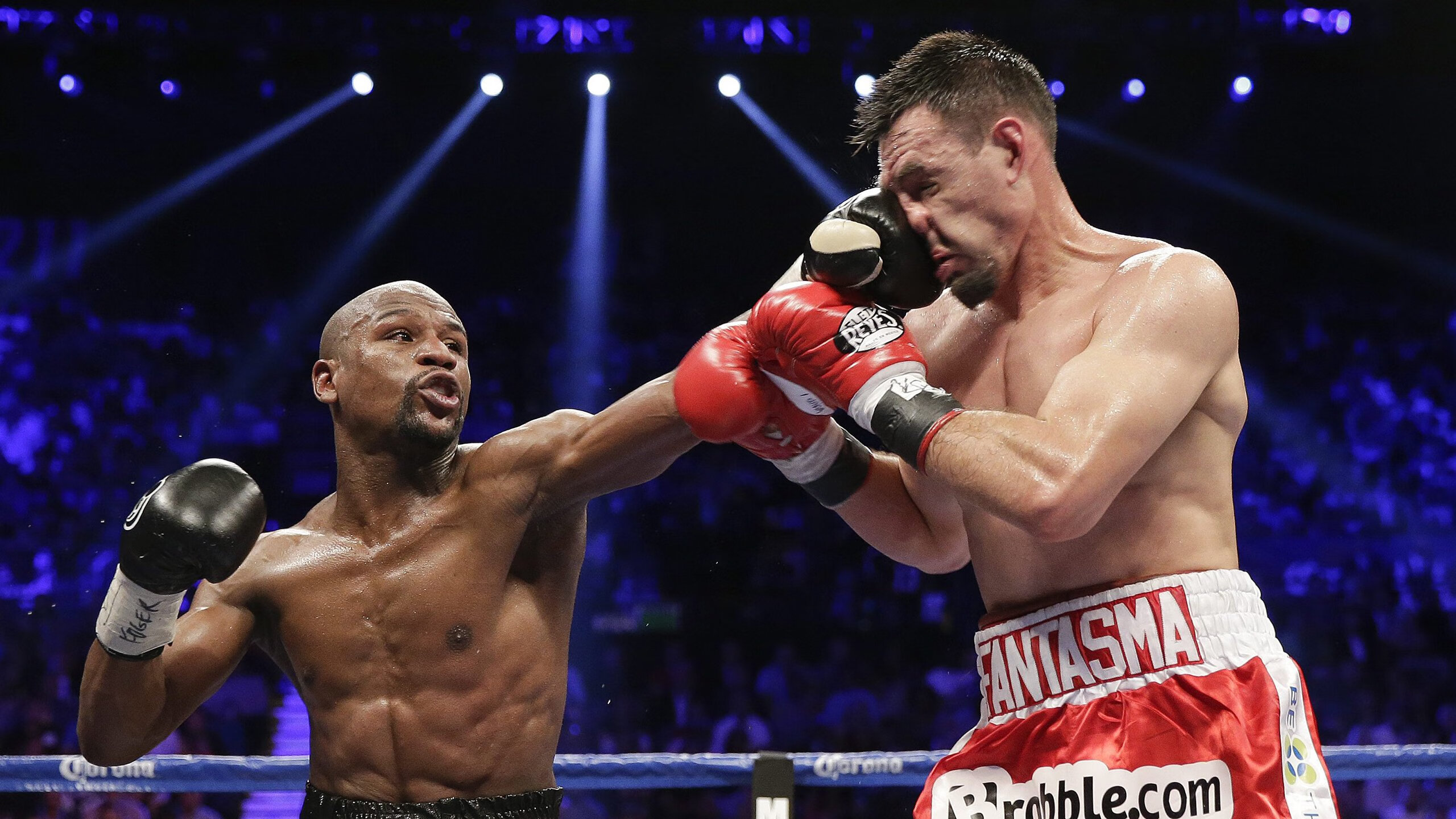 南非羚羊队:通过坚韧不拔的防守和迅猛的反击,他们称霸赛场,南非羚羊皮可以干嘛用